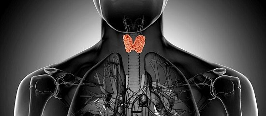 BMCMedicine's tweet photo. Functional #apoptosis profiling identifies MCL-1 and BCL-xL as prognostic #markers and therapeutic targets in advanced #thymic carcinomas and #thymomas
Read it here:
https://t.co/ozGwasCOWd https://t.co/JQlo1Msehd