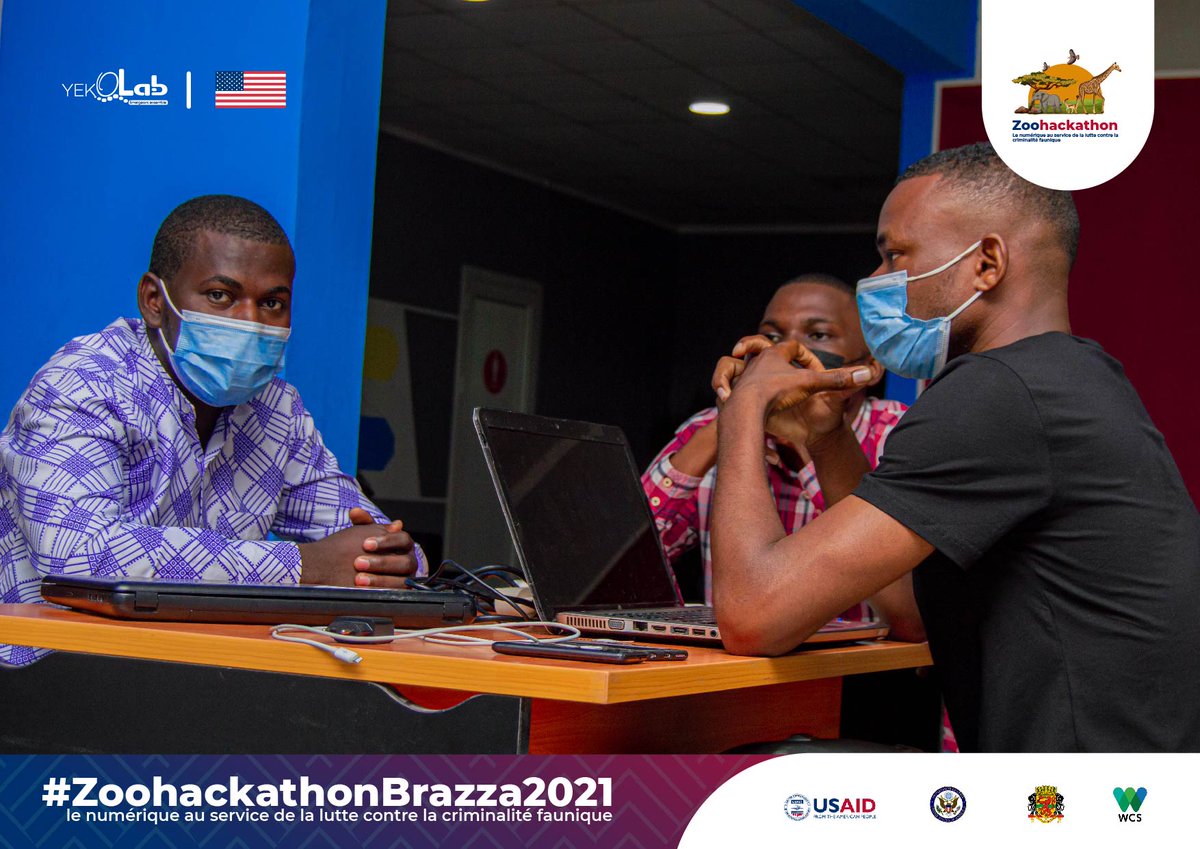 Yekolab Community tweet media