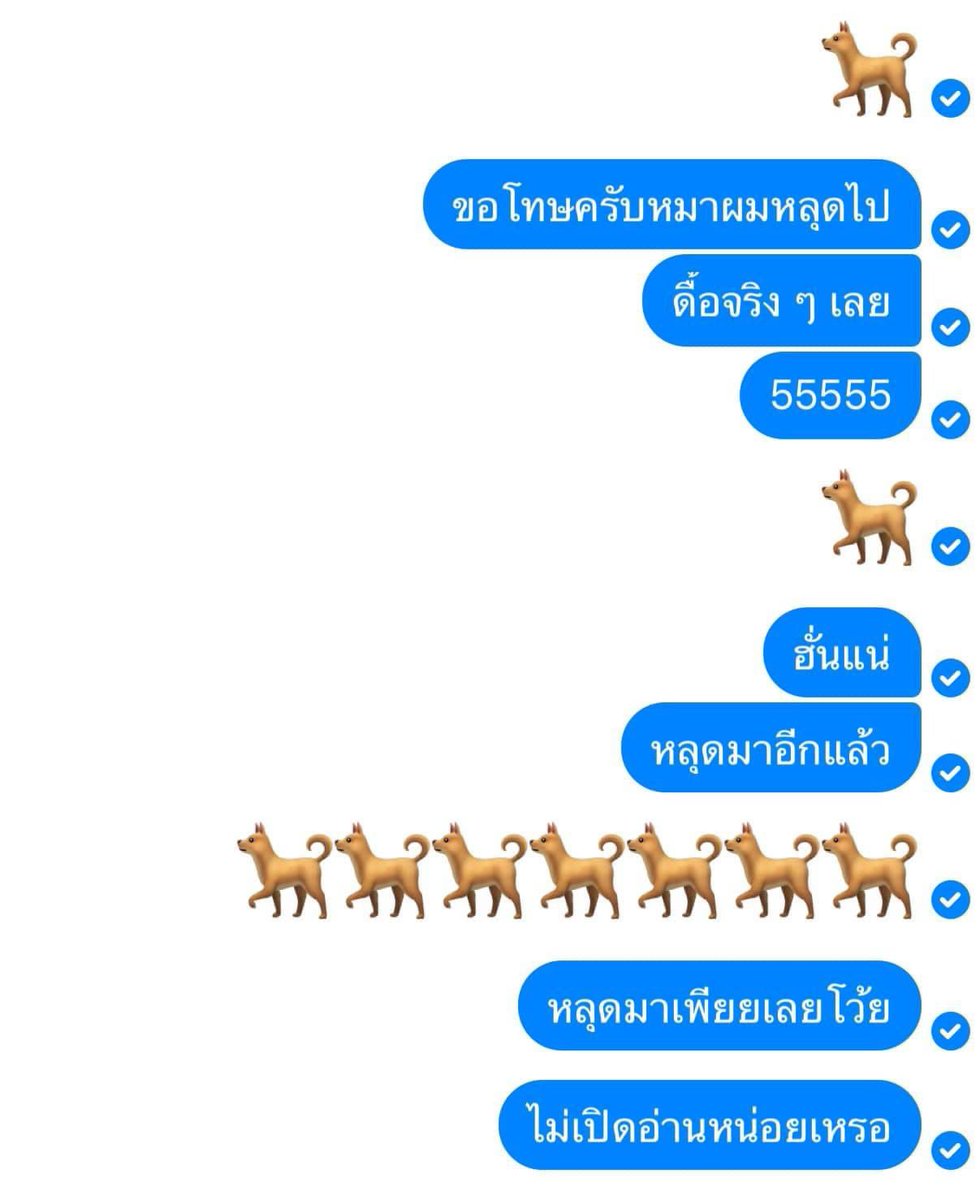 achinpeach's tweet photo. พี่เสือทักแชทน้องหนาว be like https://t.co/e04ksF80mO