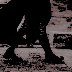 ofpeculiarwit's tweet photo. A
L
P
H
A
R
D 
      B L A C K

[ an independent portrayal of alphard black. portrayal influenced by movies, books and personal headcanons. 
marauders &amp; golden trio era. anti jkr] 

" 𝐈 𝐧𝐞𝐯𝐞𝐫 𝐝𝐚𝐭𝐞 𝐚𝐧𝐲𝐨𝐧𝐞 𝐦𝐲 𝐜𝐚𝐭 𝐝𝐨𝐞𝐬𝐧'𝐭 𝐥𝐢𝐤𝐞." https://t.co/GbGS8cjVZI