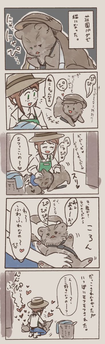 ネコチャン 