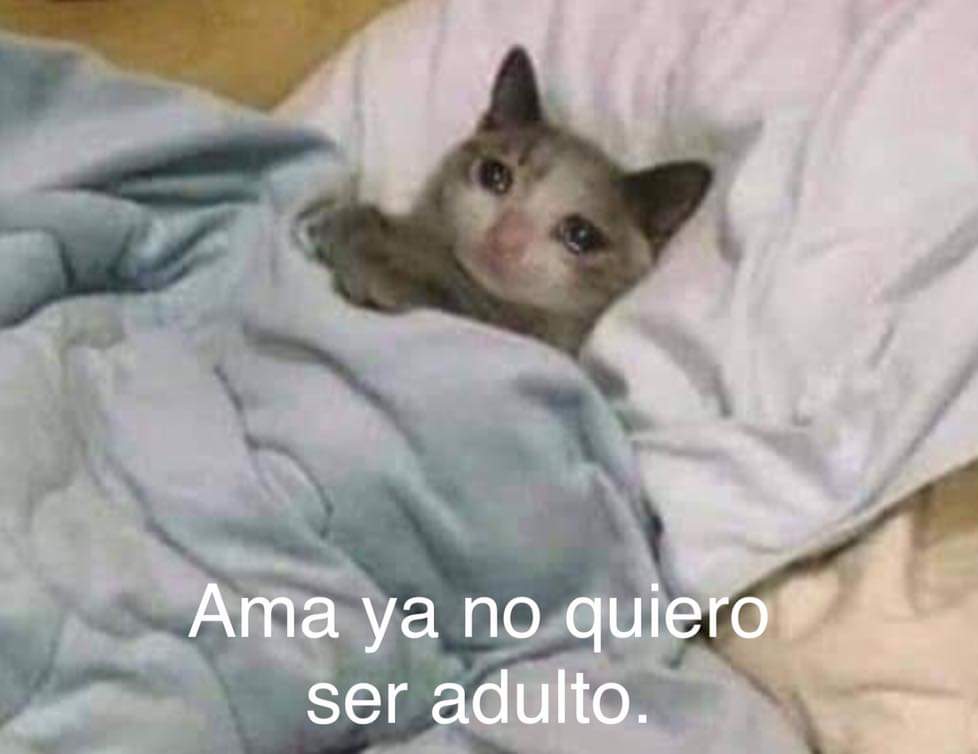 Kamiloo_V's tweet photo. Cuando tengo que madrugar para ir a trabajar: https://t.co/wLbpaeGIpP