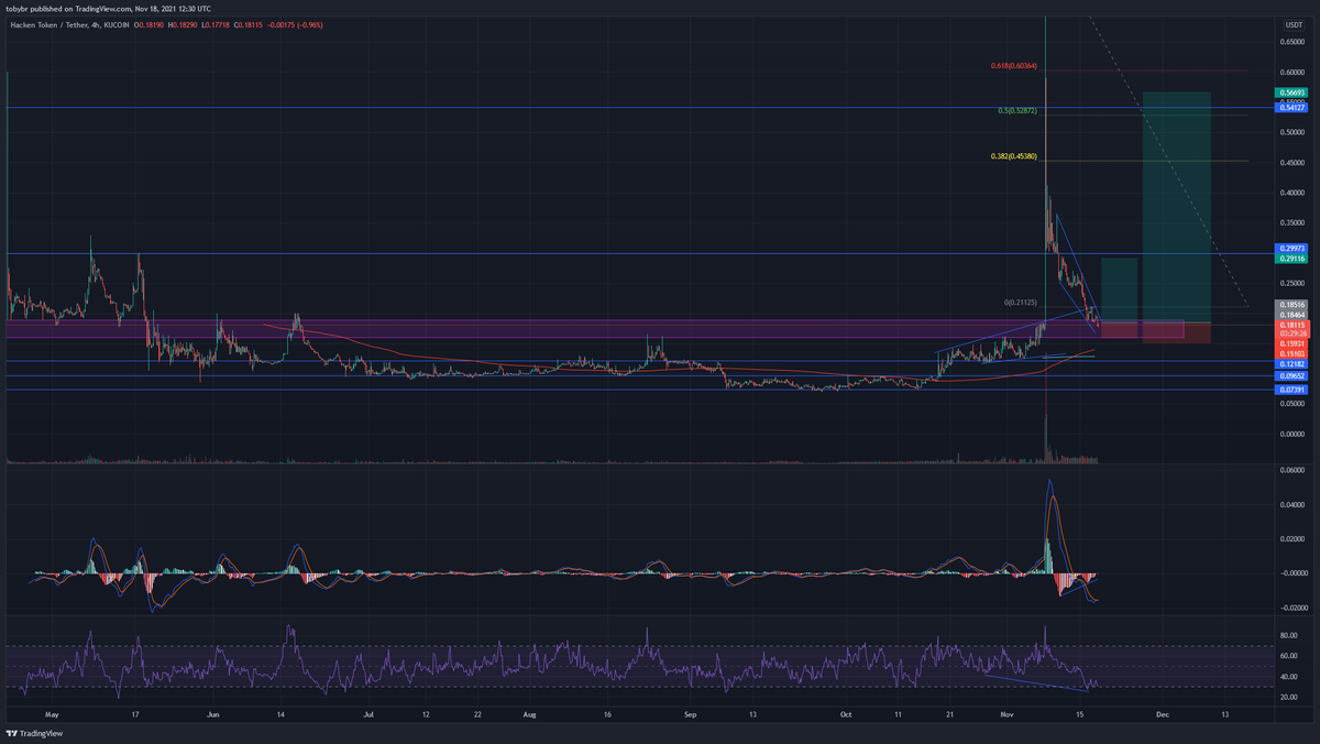 theCryptocar's tweet photo. $HAI at entry, phat divs on MACD and RSI, at omega support in a falling wedge, could easily dump as well though cos fukc $BTC - NFA https://t.co/ic1Uh9f3PR