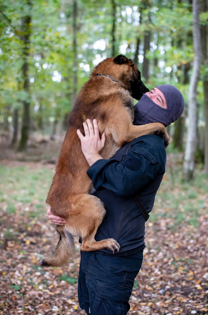 raid_fipn's tweet photo. Il y a 6 ans, le 18 novembre 2015, Diesel donnait sa vie pour préserver celle des autres, pour permettre la neutralisation de terroristes qui cherchaient à passer à l’acte le jour même.

Il y a 6 ans, Diesel donnait sa vie pour servir, sans faillir.
#RAID https://t.co/QOxN3qhCXi