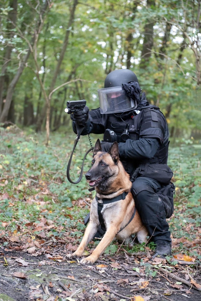 raid_fipn's tweet photo. Il y a 6 ans, le 18 novembre 2015, Diesel donnait sa vie pour préserver celle des autres, pour permettre la neutralisation de terroristes qui cherchaient à passer à l’acte le jour même.

Il y a 6 ans, Diesel donnait sa vie pour servir, sans faillir.
#RAID https://t.co/QOxN3qhCXi