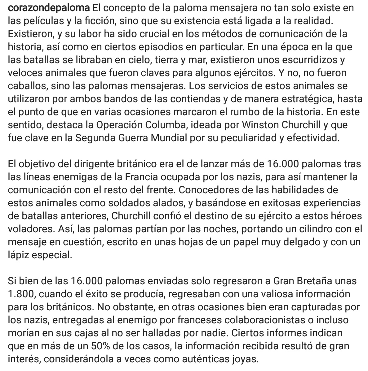 nosoyplaga's tweet photo. ¿Nuestro pago por ayudarnos? Las jaulas y redes de captura y las cámaras de gas. Así es el ser humano.
#respectpigeons
#nosoyplaga
#lestweforget
#notvermin https://t.co/2LcqoRenZ5