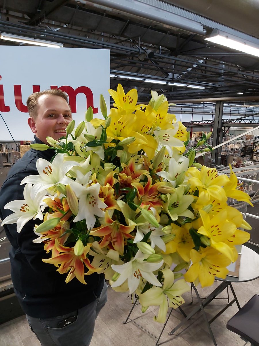 Barendsen Aalsmeer tweet media
