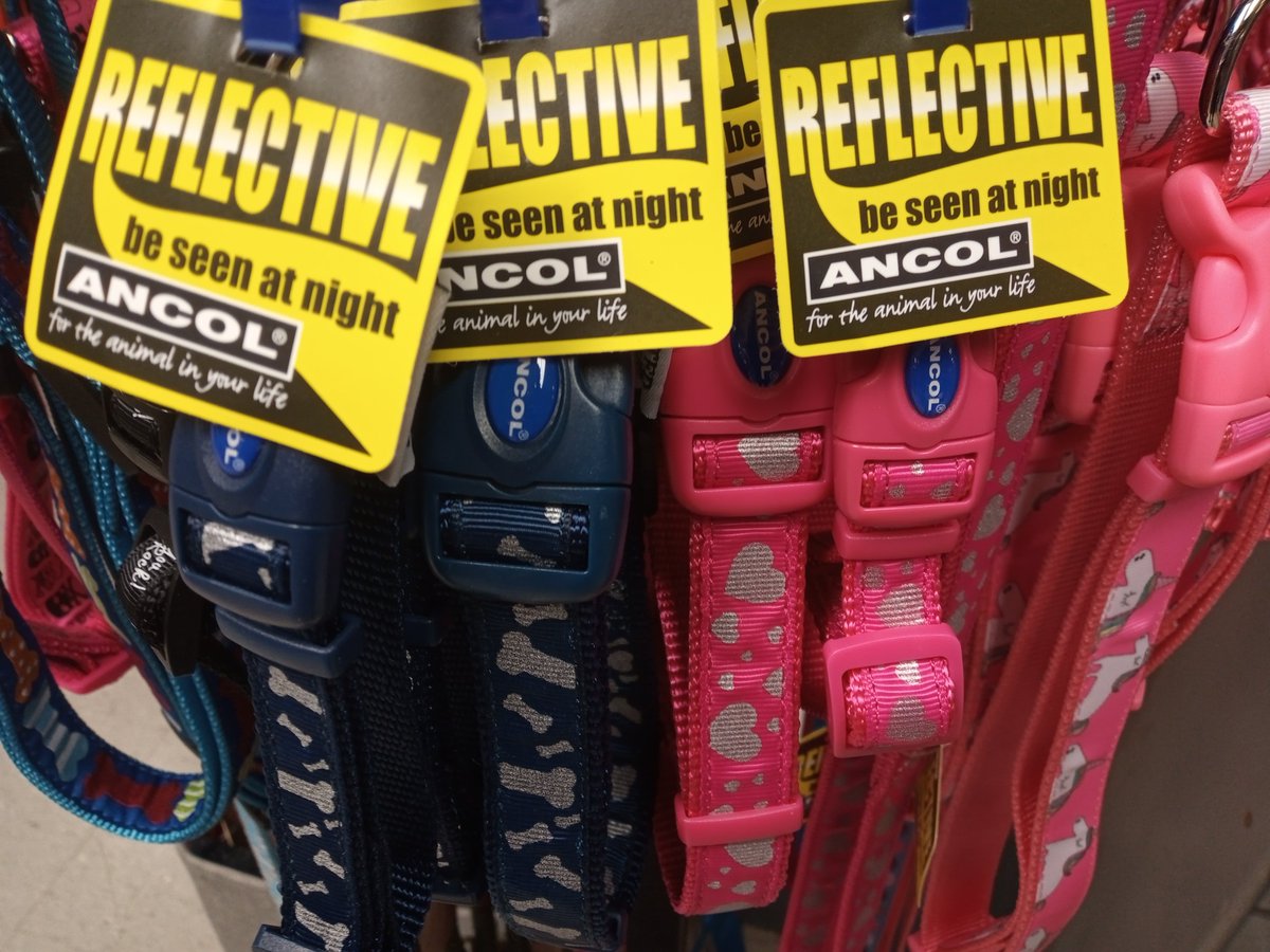 barnitts's tweet photo. More LED dog collars coming soon!
We also have jogging leads, reflective collars, reflective coats, running leads with belts. 
#winterwalks #dogsafe #darknights #barnitts #York https://t.co/03jKdUZWWK