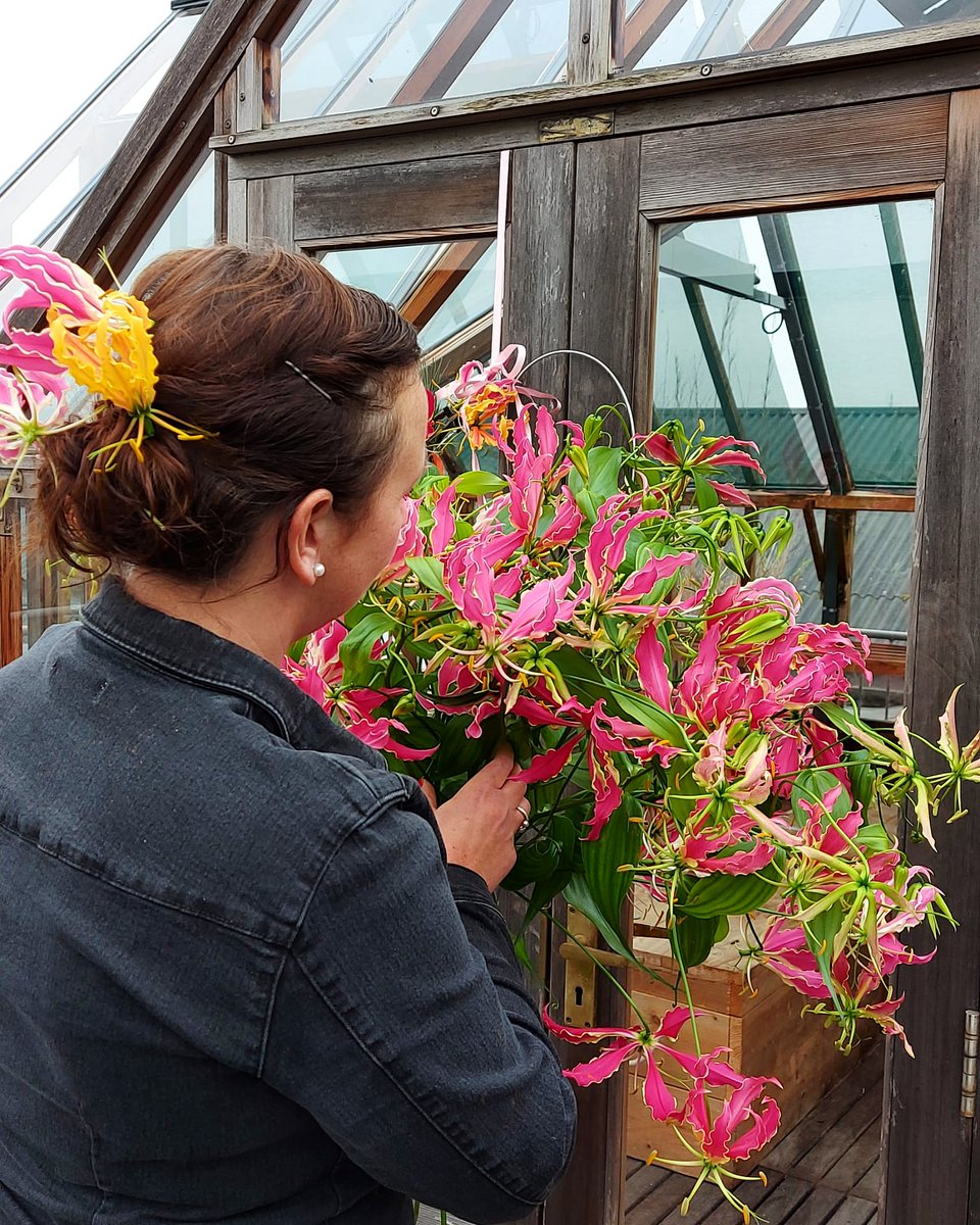 Thursday motivation....
#work #Flowers #thursdayvibes #happymoments