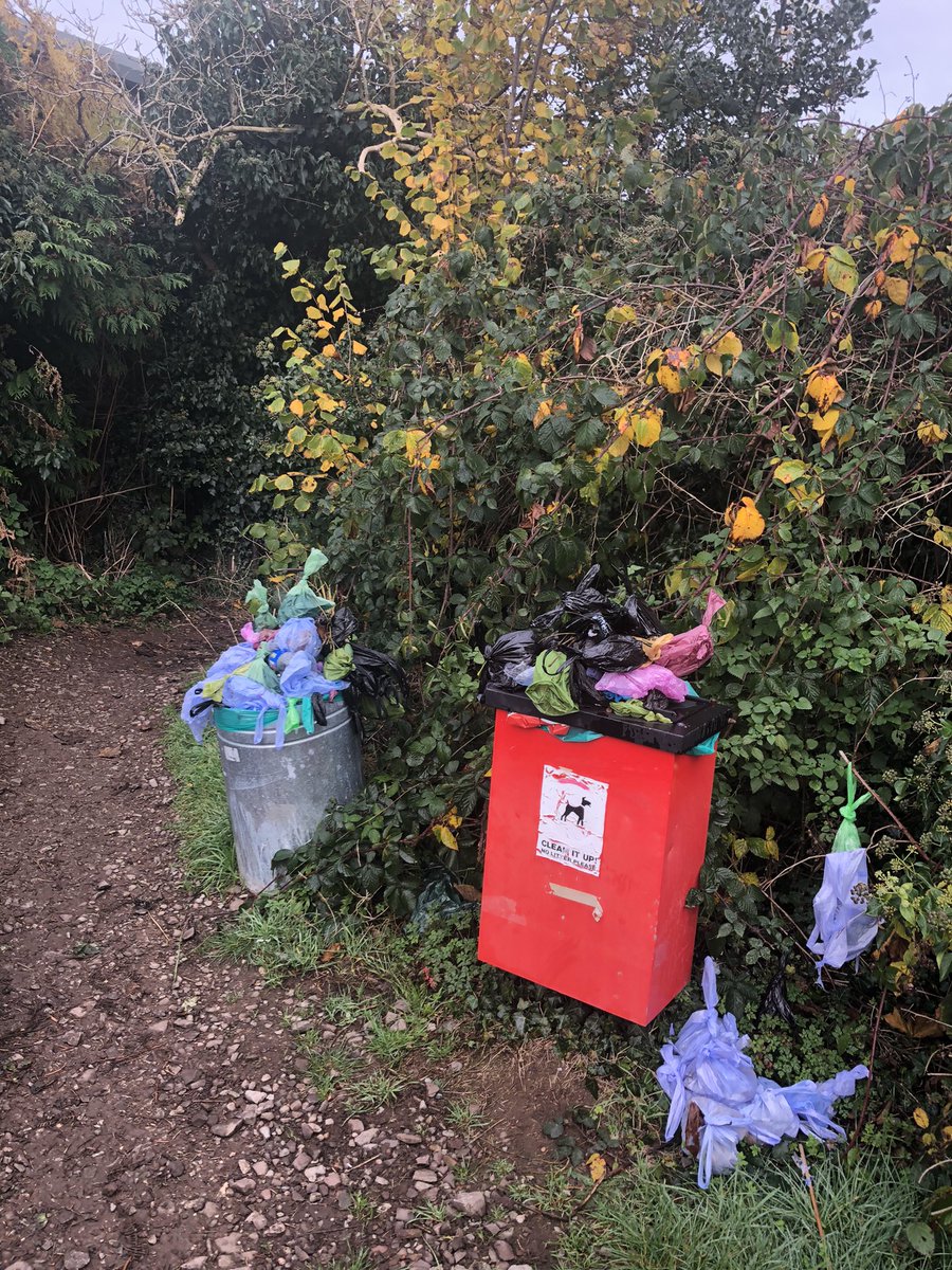hjsmith66's tweet photo. @dudleymbc does any one empty the bins anymore ?? https://t.co/Ch5yhYuMeX