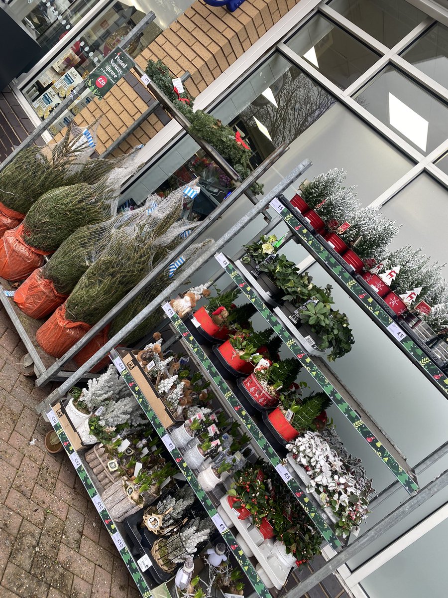 Just a few Christmas photos to get us in the spirit! 🎶it’s beginning to look a lot like Christmas everywhere you go🎶#brandhall #Christmas <a href="/mycoopfood/">Central Co-op Food</a> <a href="/kyle_rollason/">Kyle Rollason</a> <a href="/iankimberley/">ian kimberley</a> <a href="/FionaRo44784977/">Fiona Robertson</a> @grahamwren2 @PaulalanDennis <a href="/adamleewaudby/">Adam Waudby</a> <a href="/ClaireKoziol/">Claire Koziol</a>