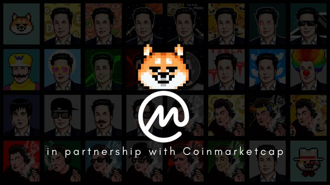 Panda Little tweet media