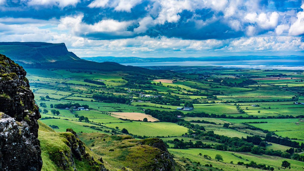 Ireland Today tweet media