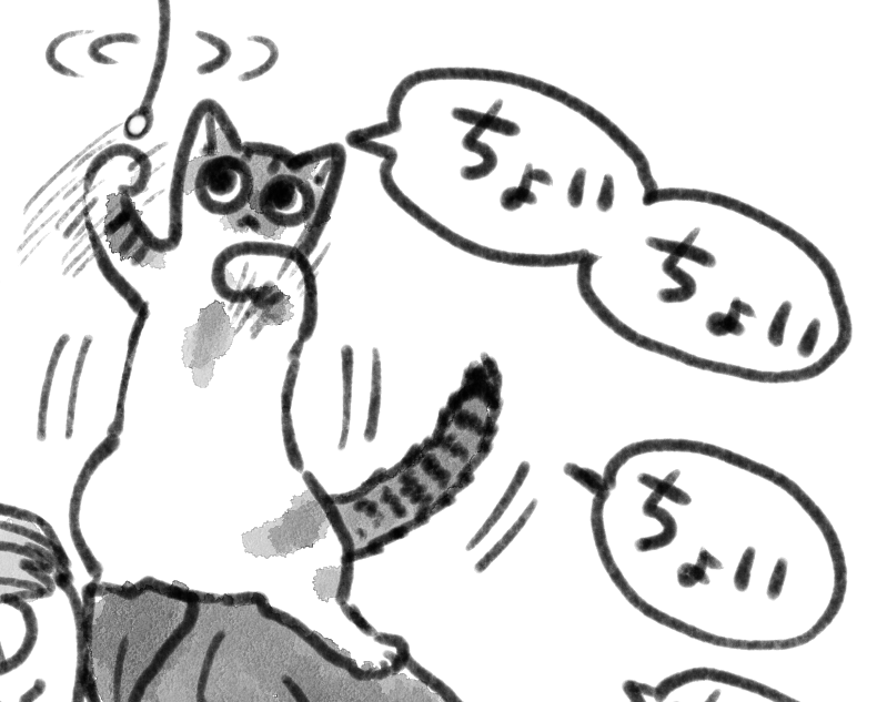まめのすけフォトブック、今日ようやく発送させていただきました!おまけ漫画(4コマ2ページ)もつけさせていただいてます～。まだあるのでよろしくお願いします!あと、昔の勇尾本(兄様はリョナラーシリーズ)も手に取ってくださった方ありがとうございます…!!✨
https://t.co/SYJmWJTR1v 