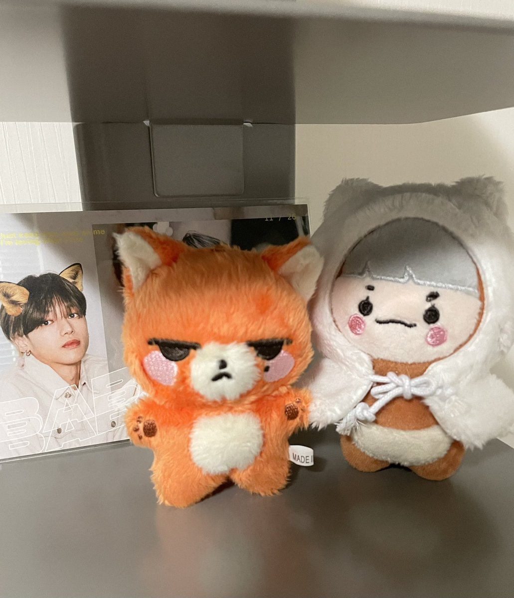 여우영 저세상 심술 귀여움이여ㅠㅠ영이 생카때 델코 다녀야쥐~~><
<a href="/babyfoxwy/">여우영</a>