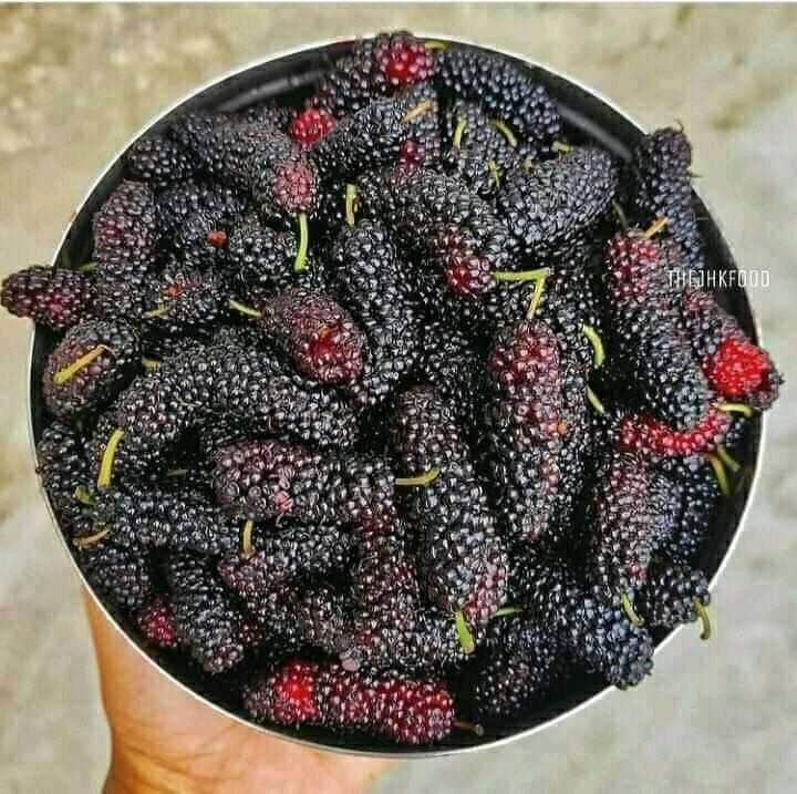 आपके यहाँ इस चीज को क्या कहते है?