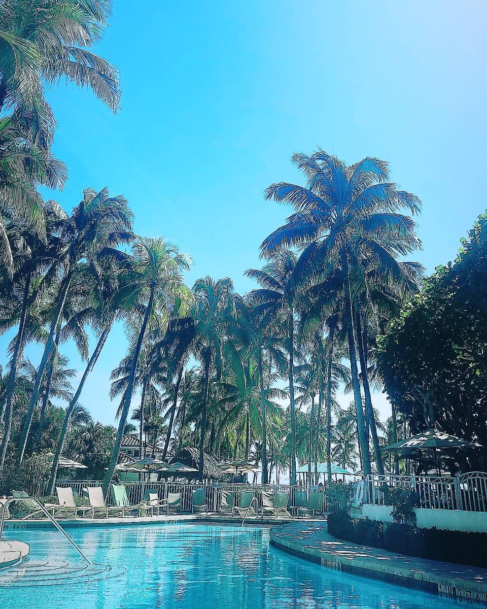 LagoMarResortFL's tweet photo. The calm before the splash! #poolfun #mylagomar #lagoonpool (pic @travelsbrandi) https://t.co/7ifooJWXFP