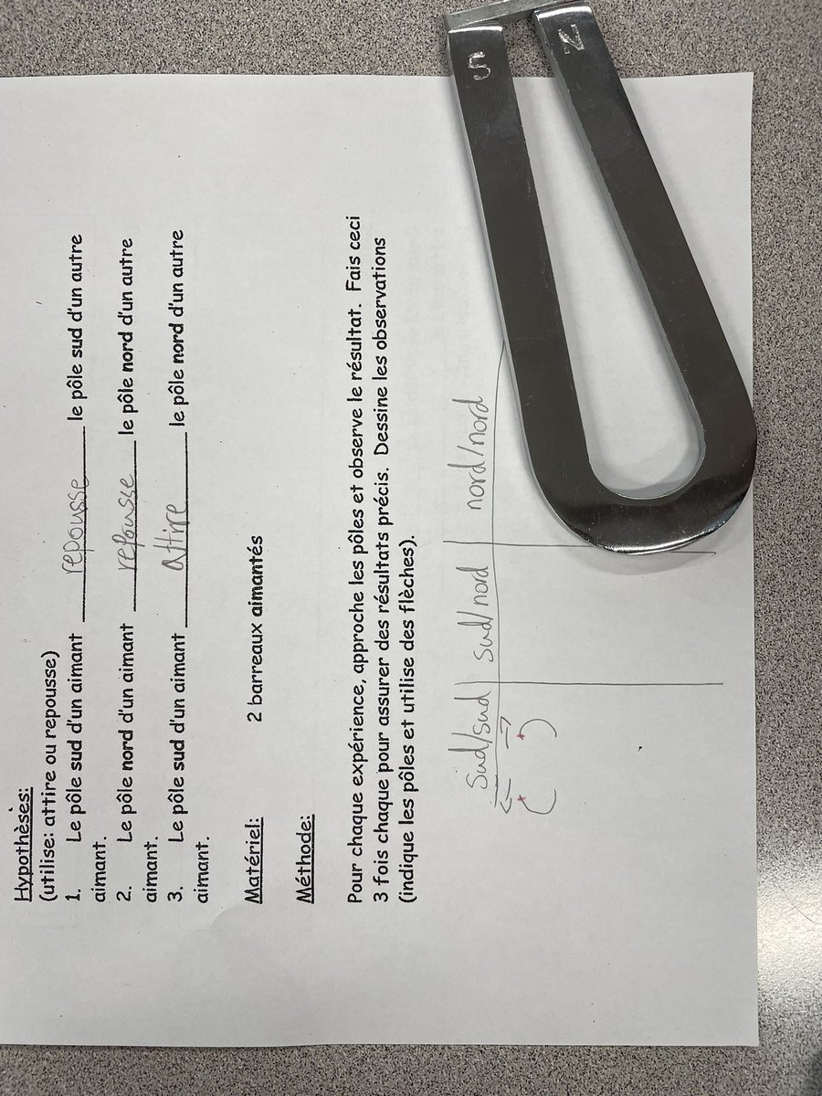 Ask your Grade 3 if opposites attract! This week, we are focusing on magnetic force and looking into whether our magnets ‘attire’ or ‘repousse’! 🧲