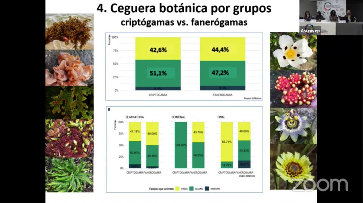 nachofelpete's tweet photo. Algunos resultados sobre la @LBULE1 https://t.co/QHJq5K3Dge