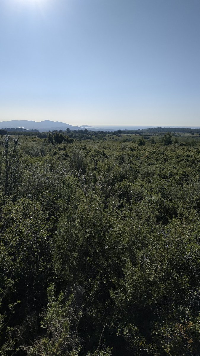 Lorsque l'on a la chance de travailler sous le #massif de l'Etoile et que l'on peut marcher tous les jours pendant la pause méridienne avec ses #collègues #randonneurs 🙂