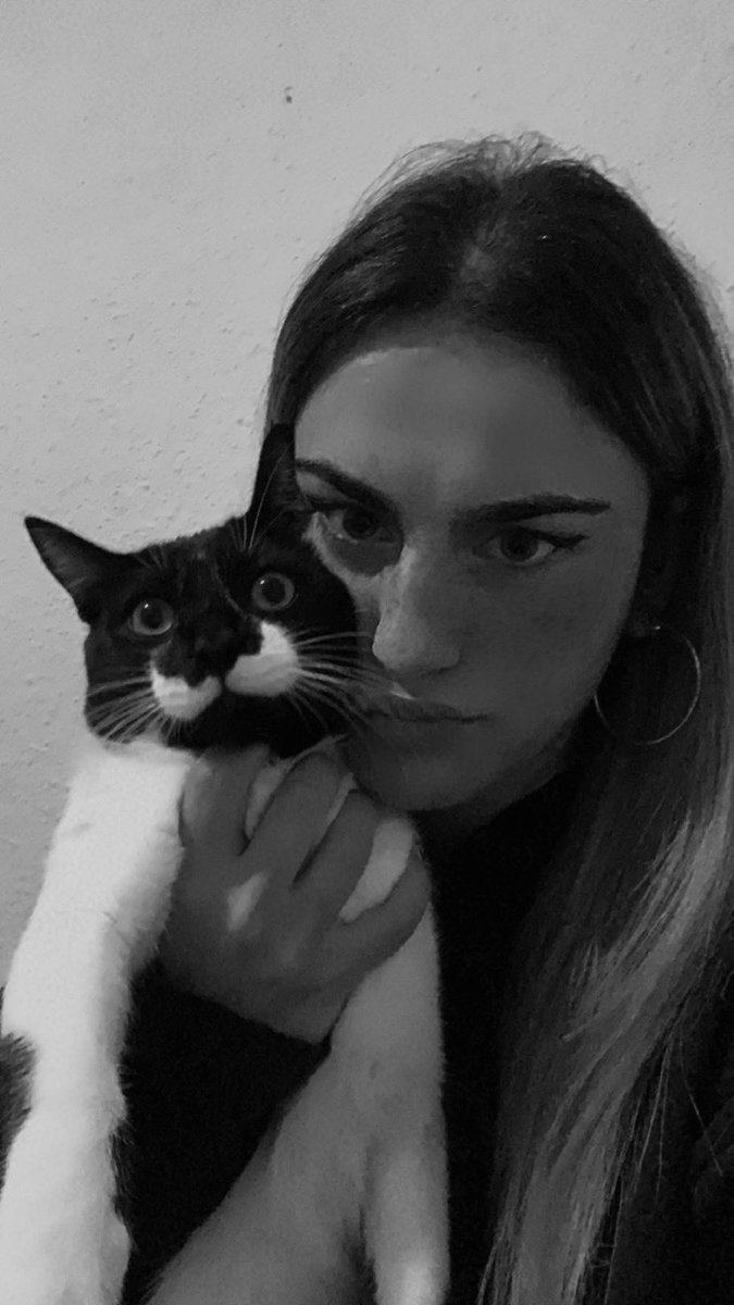 julietadm04's tweet photo. Como todo lo que esta mal siempre va a peor necesito que me ayudéis a encontrarle un dueño a mi gato porfavor. No llega a un año y es muy muy juguetón además que le gustan los perritos https://t.co/abM4865kes