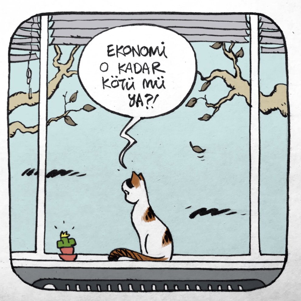 KUMDAN HAYALLER 🐾💫