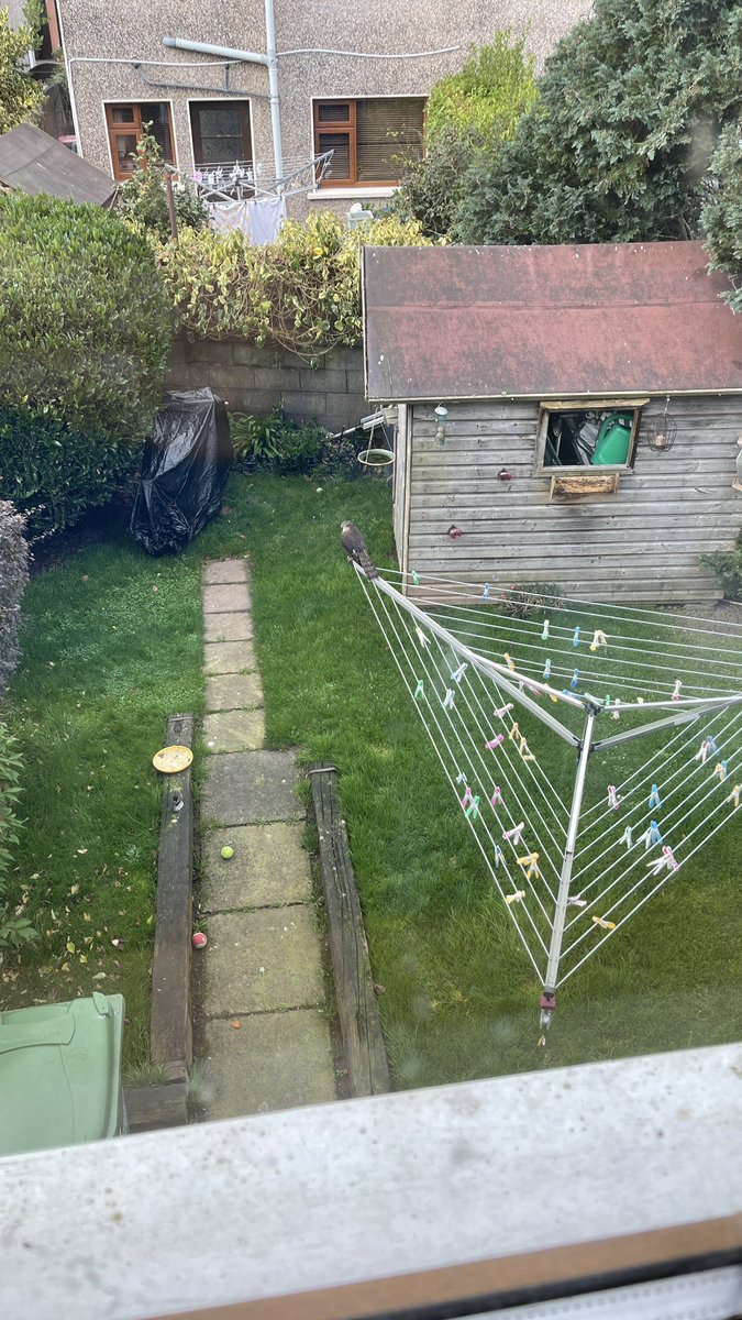 Dave Johnston 🚶🦮📸 tweet media