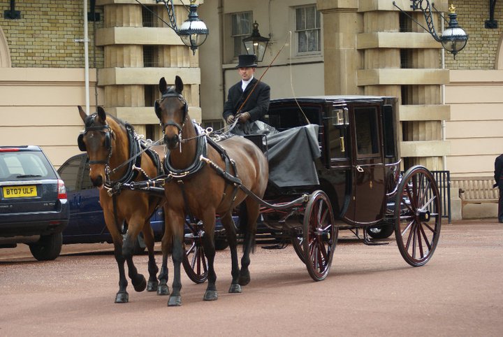 Jacob Rees Mogg announces new high-speed transport links to be rolled out across the North.
#NorthernPowerhouseRail 
#HS2 
#ToryCorruption #ToryLies