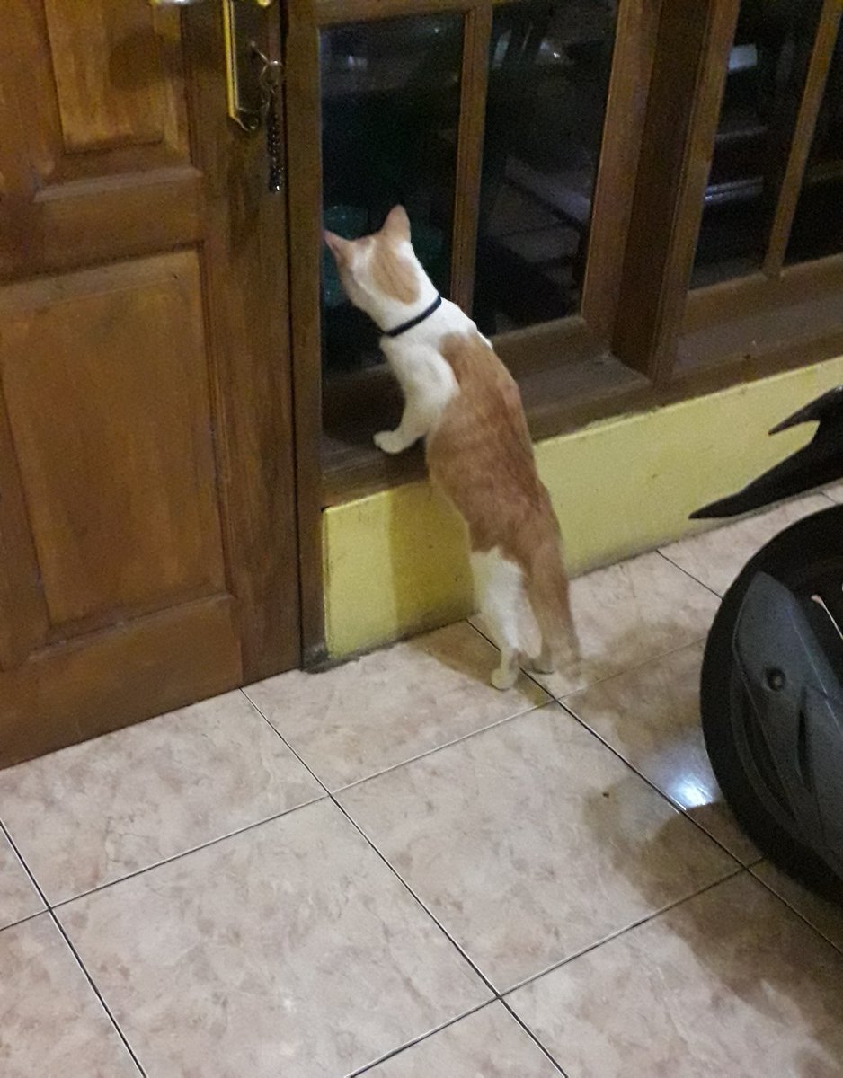 petsfess's tweet photo. kcg!

"perasaan pengangguran kok bisa beli mobil" https://t.co/r0MhcNxASR