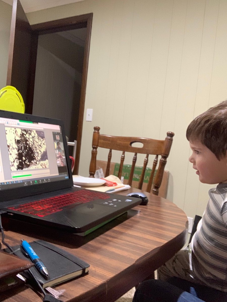 Michael Aiuvalasit tweet media