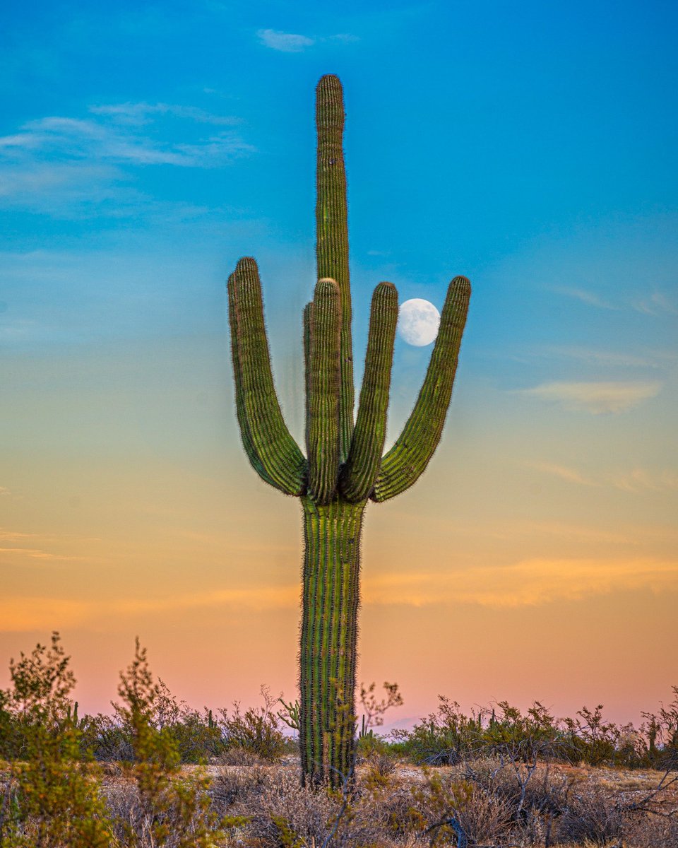I shot the #moon #Arizona #desert