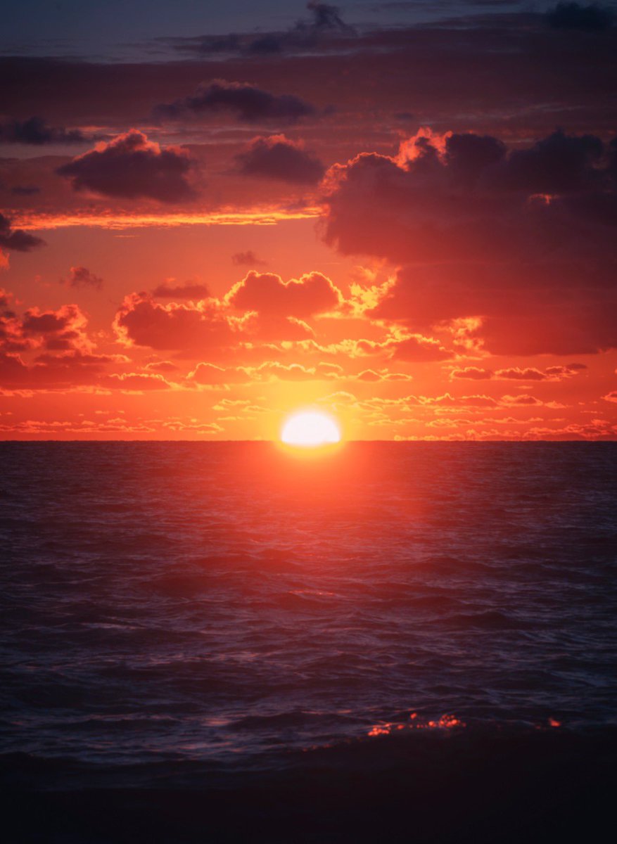 Anthsleiman's tweet photo. Gm from one of the most beautiful sunrises I’ve ever seen!  #landscapephotography #southfloridabeaches https://t.co/kMBa7AIOZE