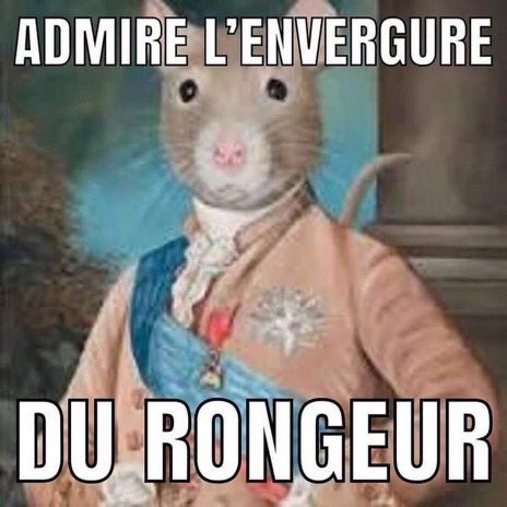 EhMerce_93's tweet photo. @vieuxcaillou Une technique vraiment https://t.co/xiz52sUunJ