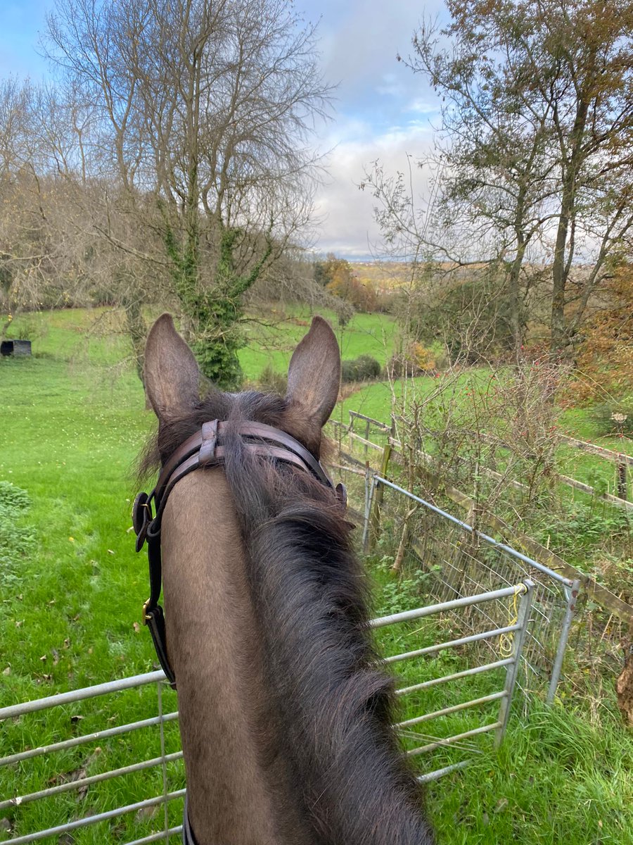 Ben is taking a moment to admire the scenery on his local patrol today #lovelyview