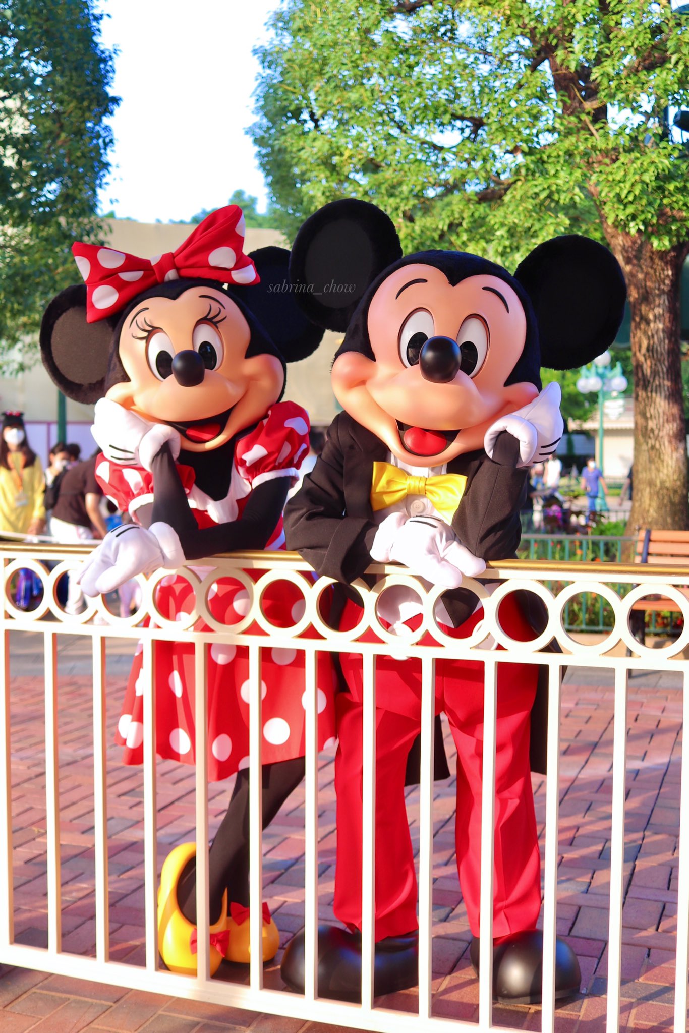 香港ディズニーランド Twitter Search Twitter