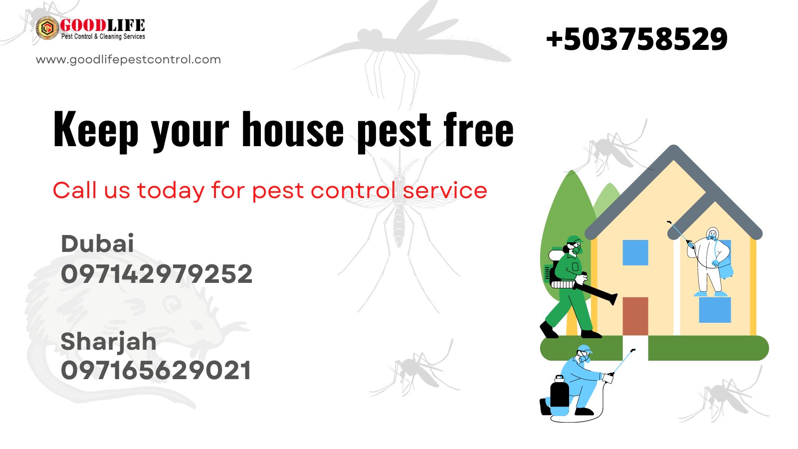 Good Life Pest Control (pottikkayil) / Twitter