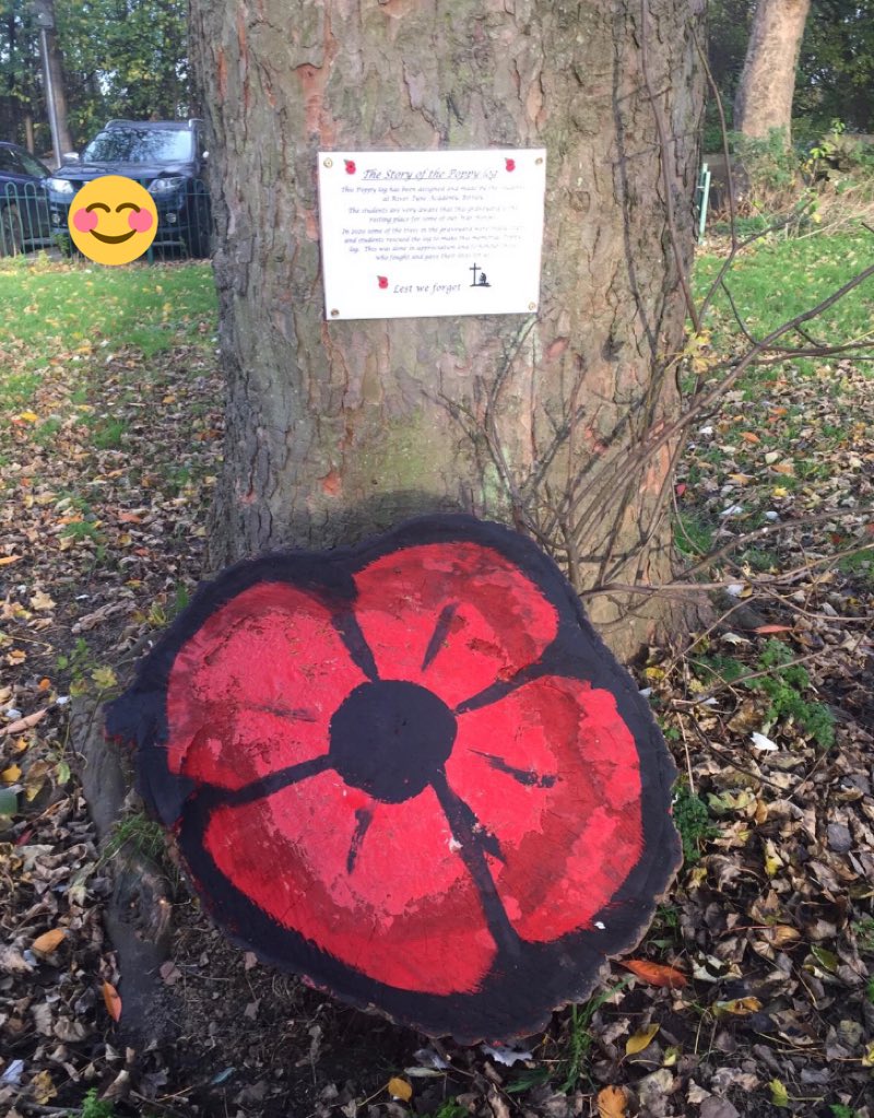 rtagateshead's tweet photo. Residents in our local community have loved the poppy we created for Remembrance Day and have been wondering about the poppy logβs story. We hope this helps and that our local community enjoy reading it! #RTAcommunity #RemembranceDay2021 https://t.co/sSAYiyqVTD