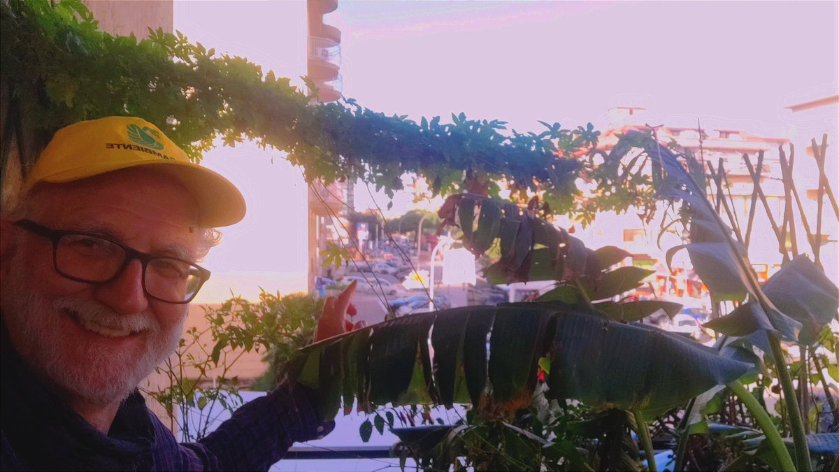 artigus1's tweet photo. ....ma io mi prendo sempre "cura della natura".....anche sul mio balcone😉
#VasiComunicanti  #FestaDellAlbero  @Legambiente @lifeterra_europe https://t.co/2P2RhOqcfA