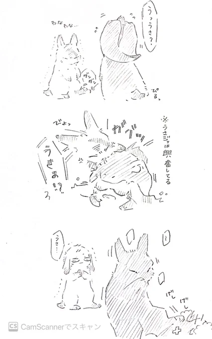 二度とウツボの被り物をしないと誓ったうさトレだった…うさうさトレジェイ 
