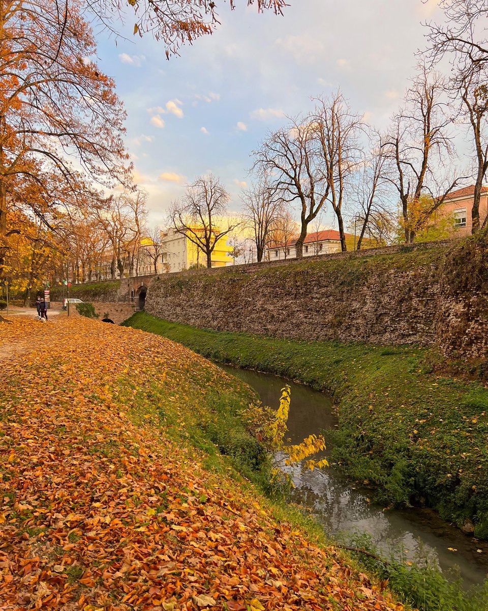 drsamtabban's tweet photo. Semplicemente colori d’autunno 🎨🍁
.
.
#treviso #muraditreviso #igerstreviso #volgotreviso #visittreviso #visitveneto #volgoveneto #igersveneto #veneto #autunno #samtabban https://t.co/tOb0vOxvRM