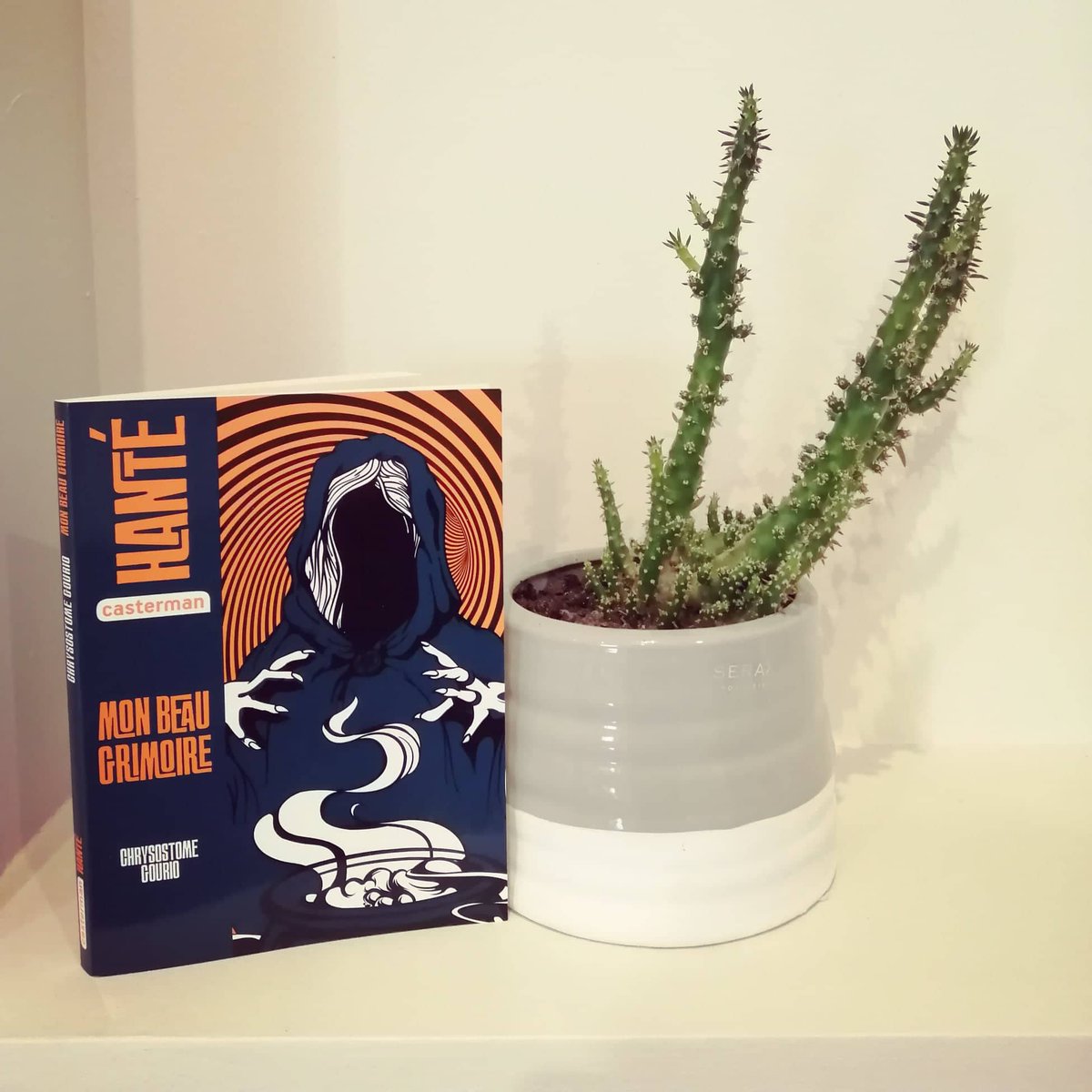 AuPages's tweet photo. HANTÉ est une nouvelle collection des éditions Casterman. Elle s'adresse aux jeunes lecteurs à partir de 10 ans. A découvrir ! 🥰
#livrejeunesse #castermanjeunesse #hanté #profdesecoles #lecture #fantastique https://t.co/TTKFmmmh2S