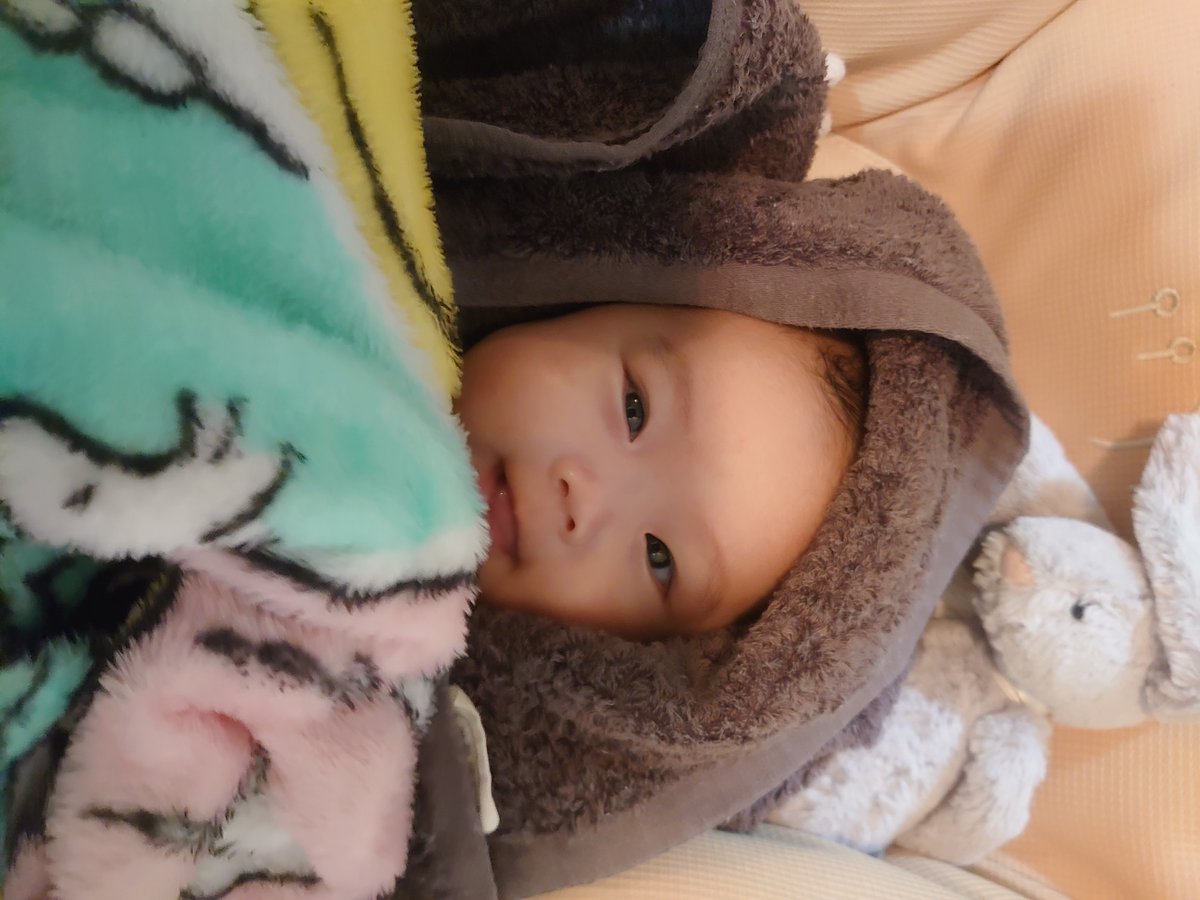 pato_sable's tweet photo. 娘が日々の癒しや〜 https://t.co/Y2lh0gEyCH
