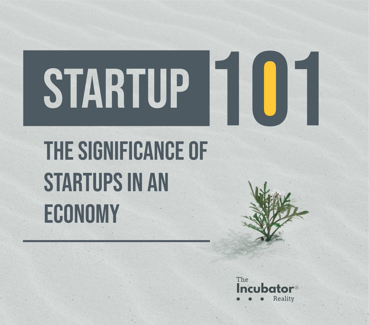 Incubatoreality's tweet photo. Startups are one of the major backbone of a countries economy because they birth new innovation in a competitive environment and create job opportunities.  The effect of startups cannot be over emphasized as their emergence causes an increase in the GDP of an economy#Entrepreneur https://t.co/2QWkaK4oYB