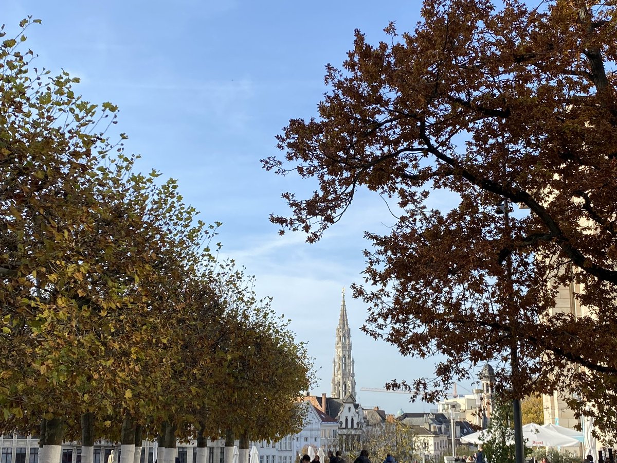 JedBracy's tweet photo. Beautiful day here in Brussels. Even the sun’s made a rare appearance. #dpc21 https://t.co/vCwnFBnFQh