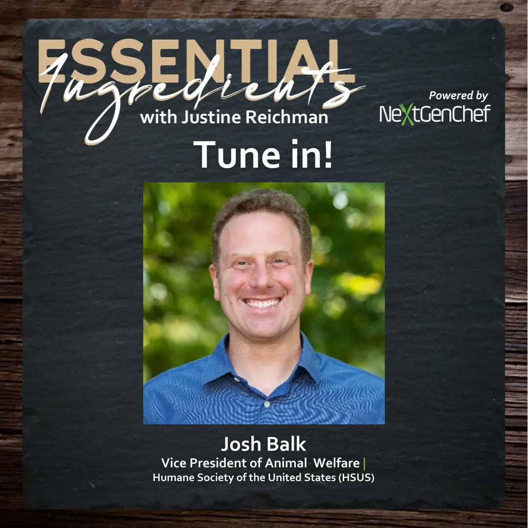 _NextGenChef's tweet image. Factory farming has barely any humane aspects to it. This unnatural process of raising animals is not only detrimental to animals themselves, but also to the environment and to humans. 

 Tune in! 
justinereichman.com/podcast-episod… 

#factoryanimals #animalsuffering #animalexploitation