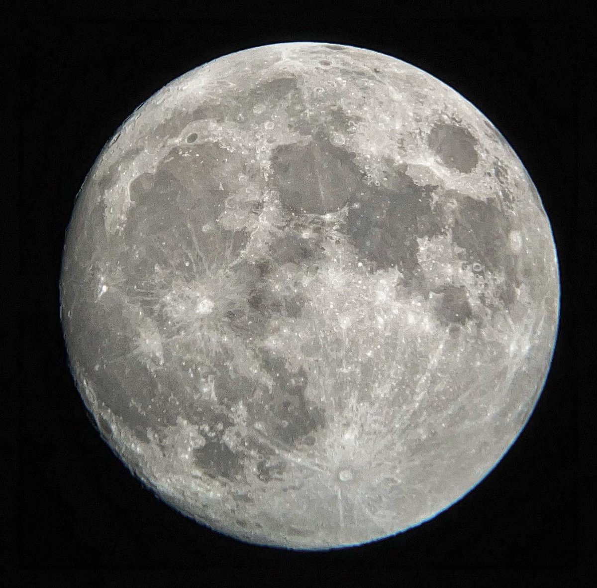 fruitfriend's tweet photo. beaver mooooon https://t.co/obpvYy8CYz