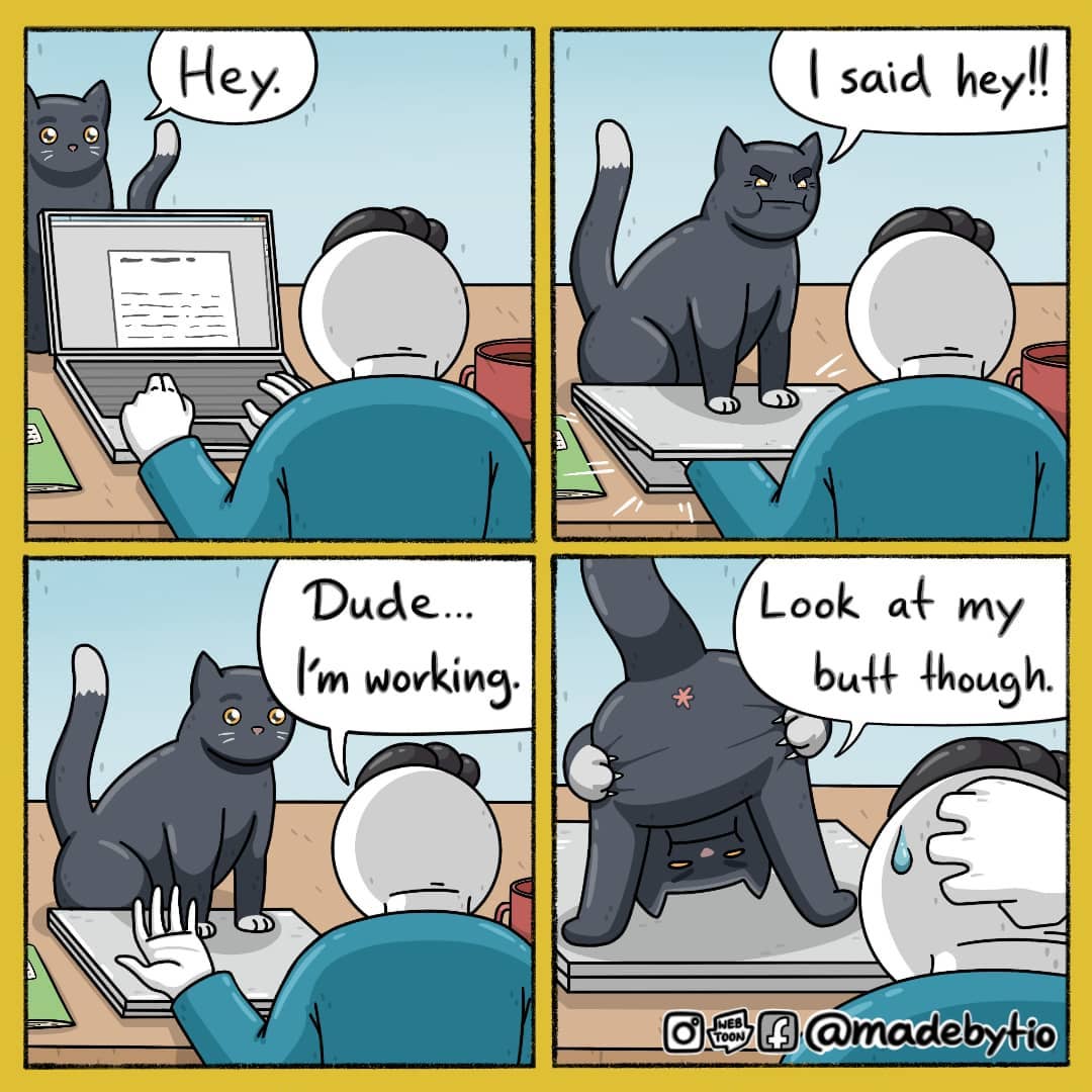 nixcraft's tweet photo. working from home with cat be like ... via https://t.co/PGrDHXwdZZ lol https://t.co/buSLAxEst8