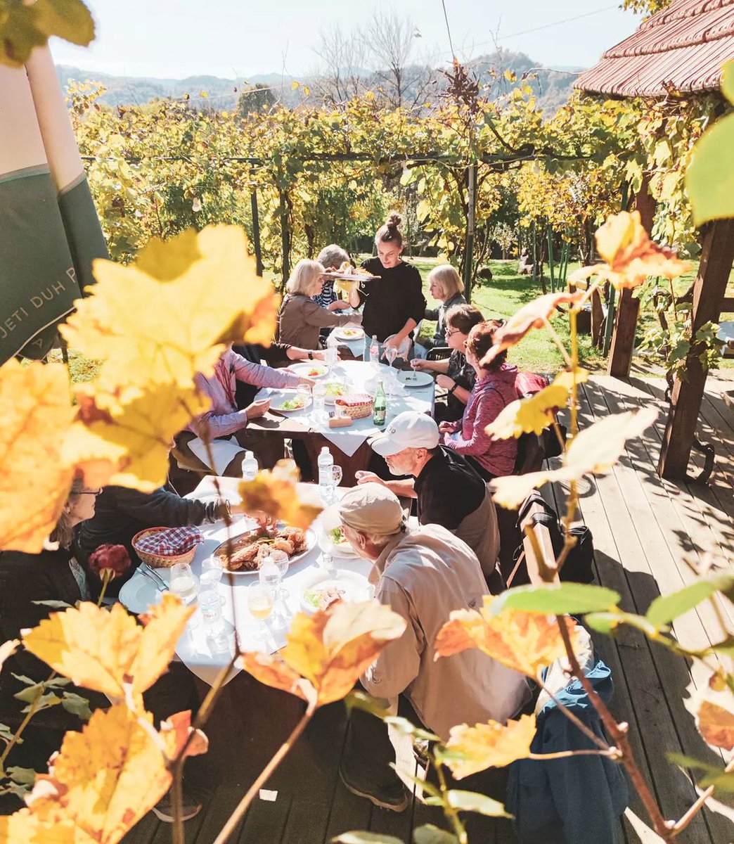 #CROATIA isn't just gorgeous beaches 🤩🍷 🍇   

Our guests sat down to this stunning autumnal lunch in the Zagorje Hills, north of Zagreb 🇭🇷 

We're OBSESSED with this pic Travel Director @sasha_trafalgar snapped 😍 🍇 Join us next time 👉 bit.ly/3nR15Lq