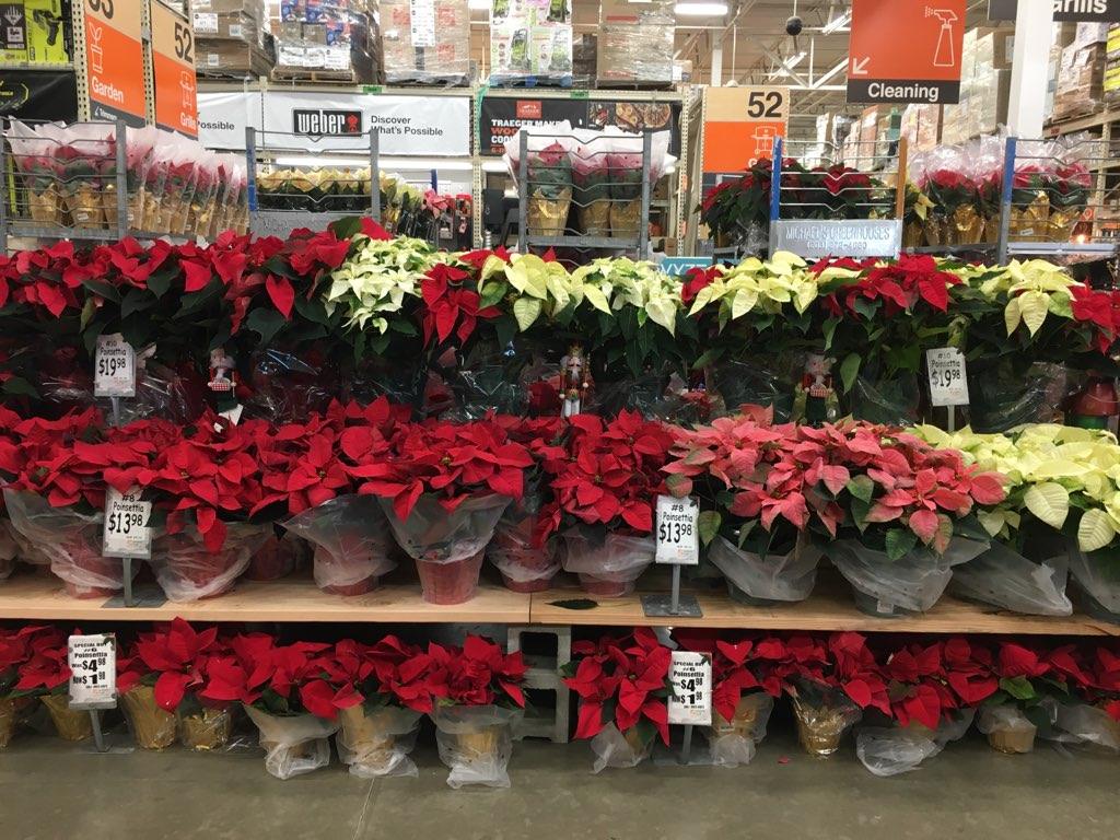 <a href="/Thd6235/">Home Depot #6235</a> <a href="/MGIflowers/">Michaels Greenhouses</a> 
Santa is filling his bag with poinsettias for upcoming holiday gathering decorations and gifts!