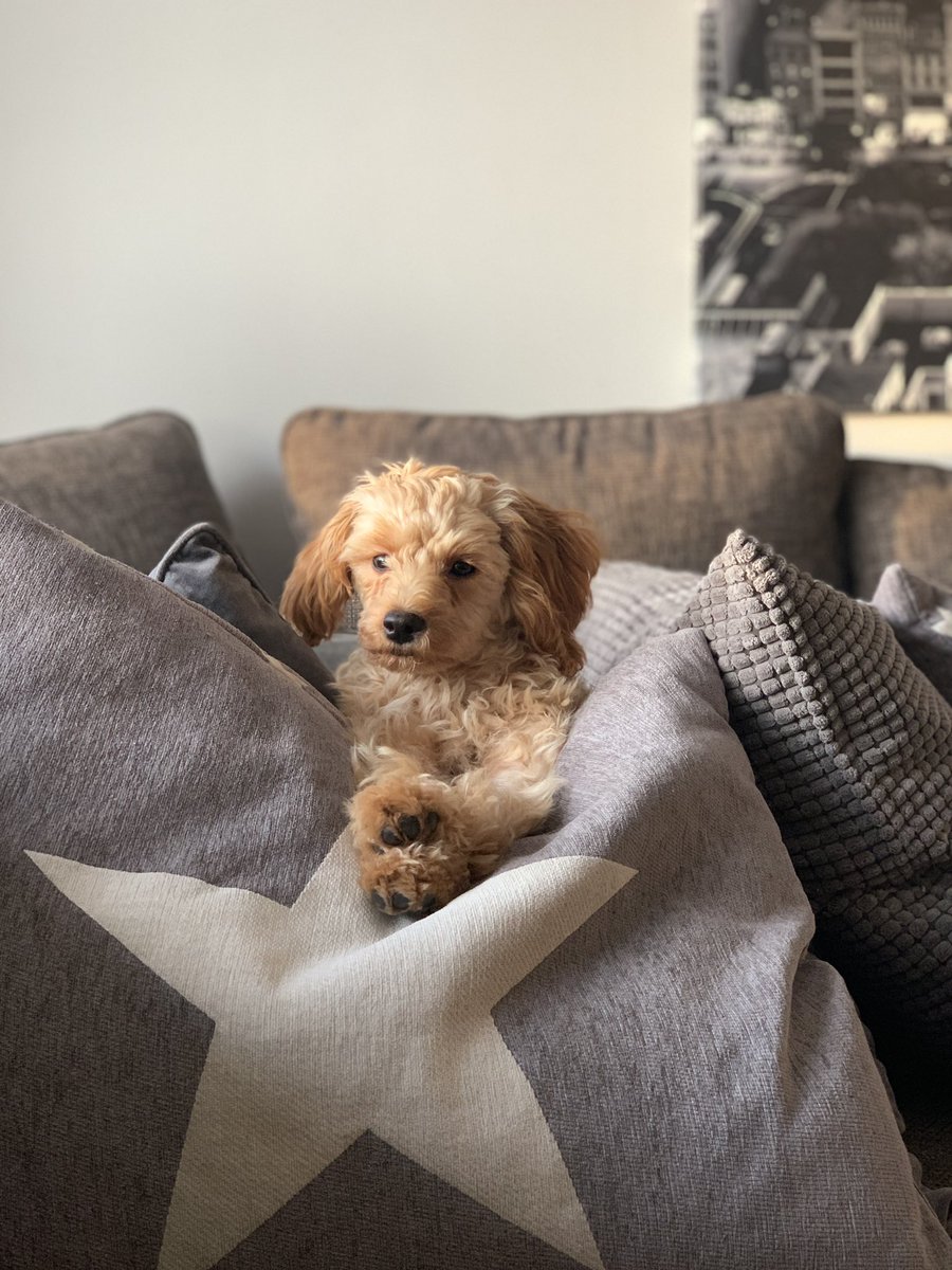 willine9's tweet image. #mybff #akira